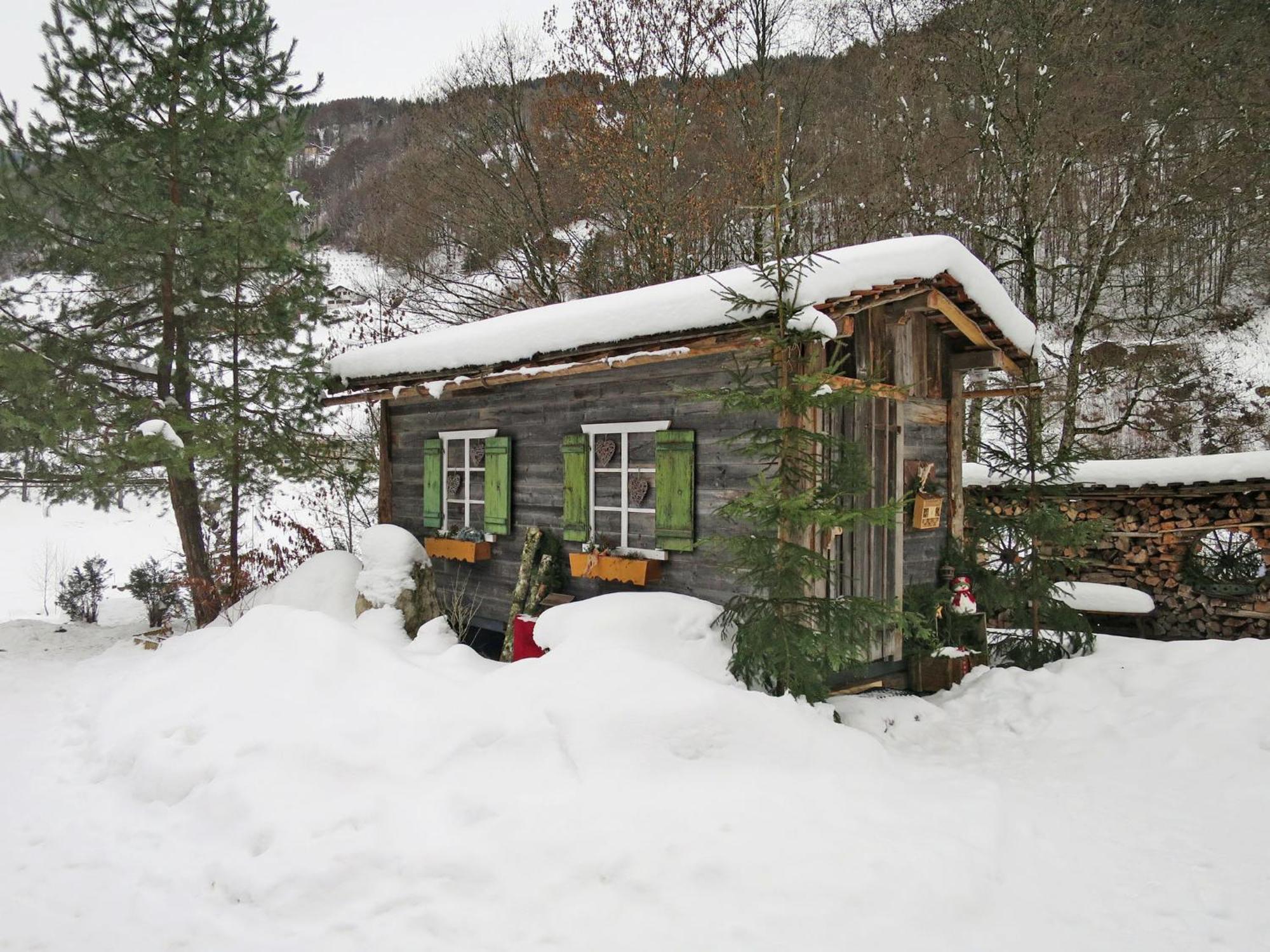 Holiday Home Alpenchalet Silbertal By Interhome Dış mekan fotoğraf